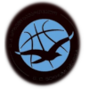 https://img.beiguojiayuan.com/img/basketball/team/1a45d903dafdcc026ec9809d9916a681.png