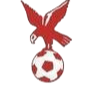 https://img.beiguojiayuan.com/img/football/team/4802d26df935b78bb2fcdbbff36e8864.png